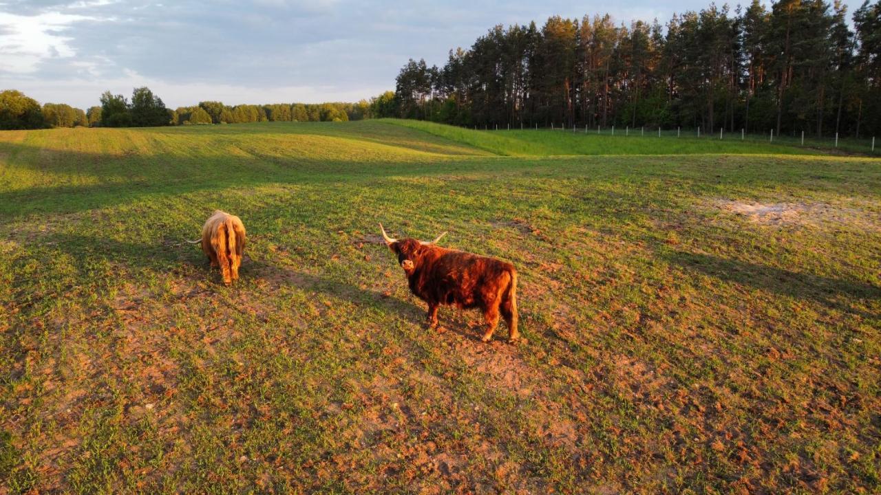 Krasne Pole Gospodarstwo Rolne Krasnopol Bagian luar foto